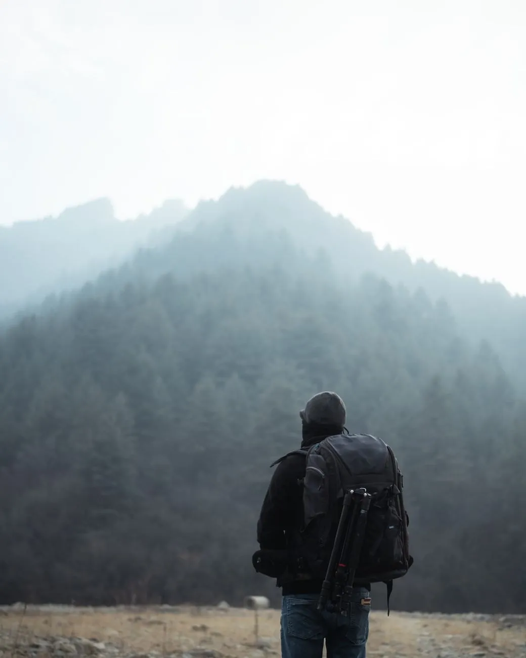 A traveller with a camera bag and tripod, seen from behind, facing a forested mountain in mist
